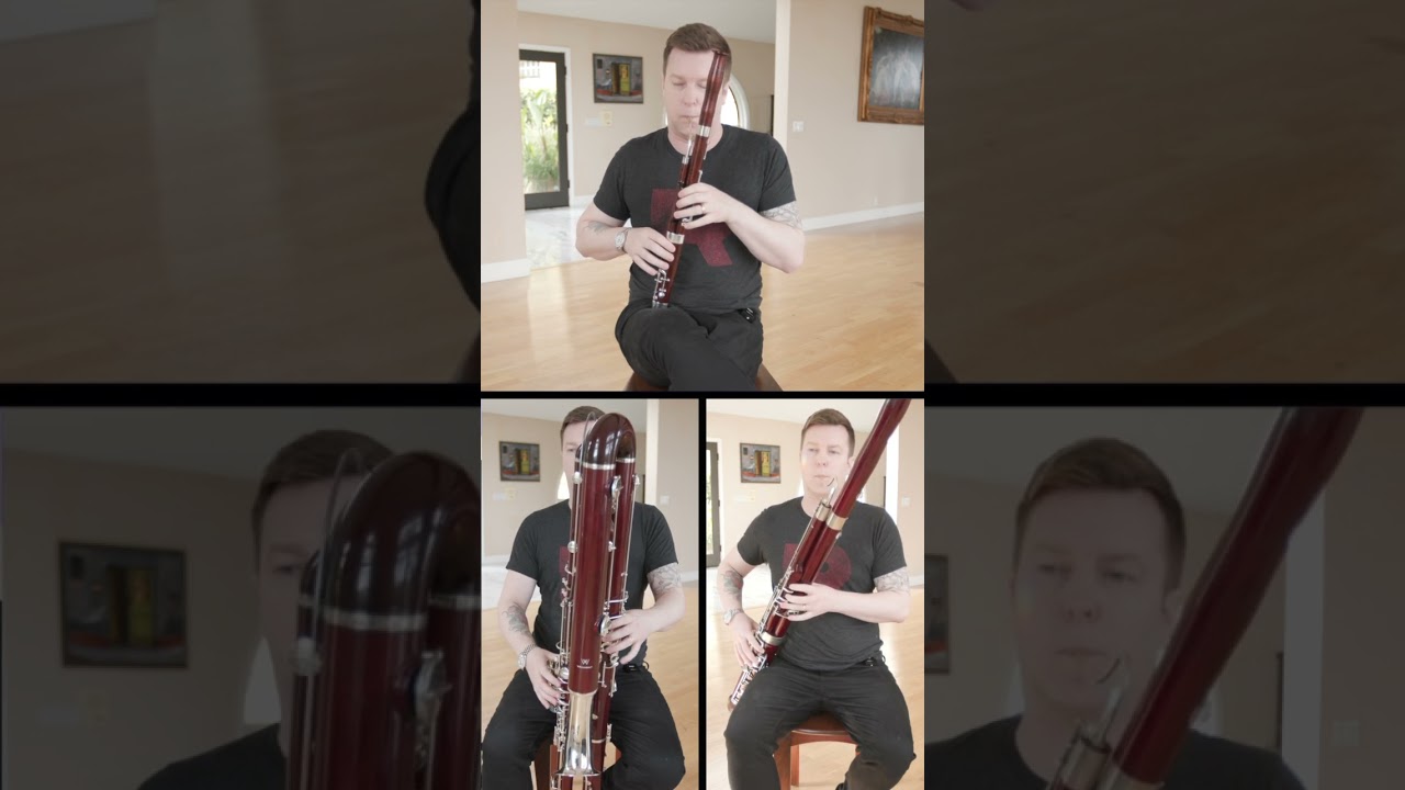 ⁠thanks @Mmimports for the tenoroon! #bassoon #contrabassoon