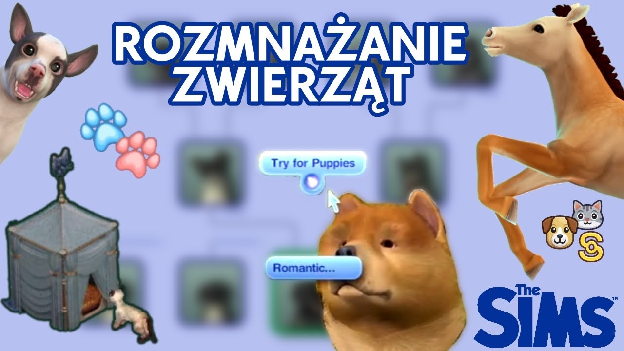 The Sims: Jak działa ROZMNAŻANIE ZWIERZĄT? 🐴