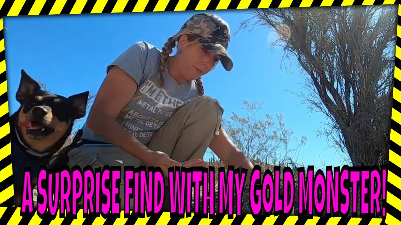 A Surprise Find In The Desert With My Gold Monster 1000