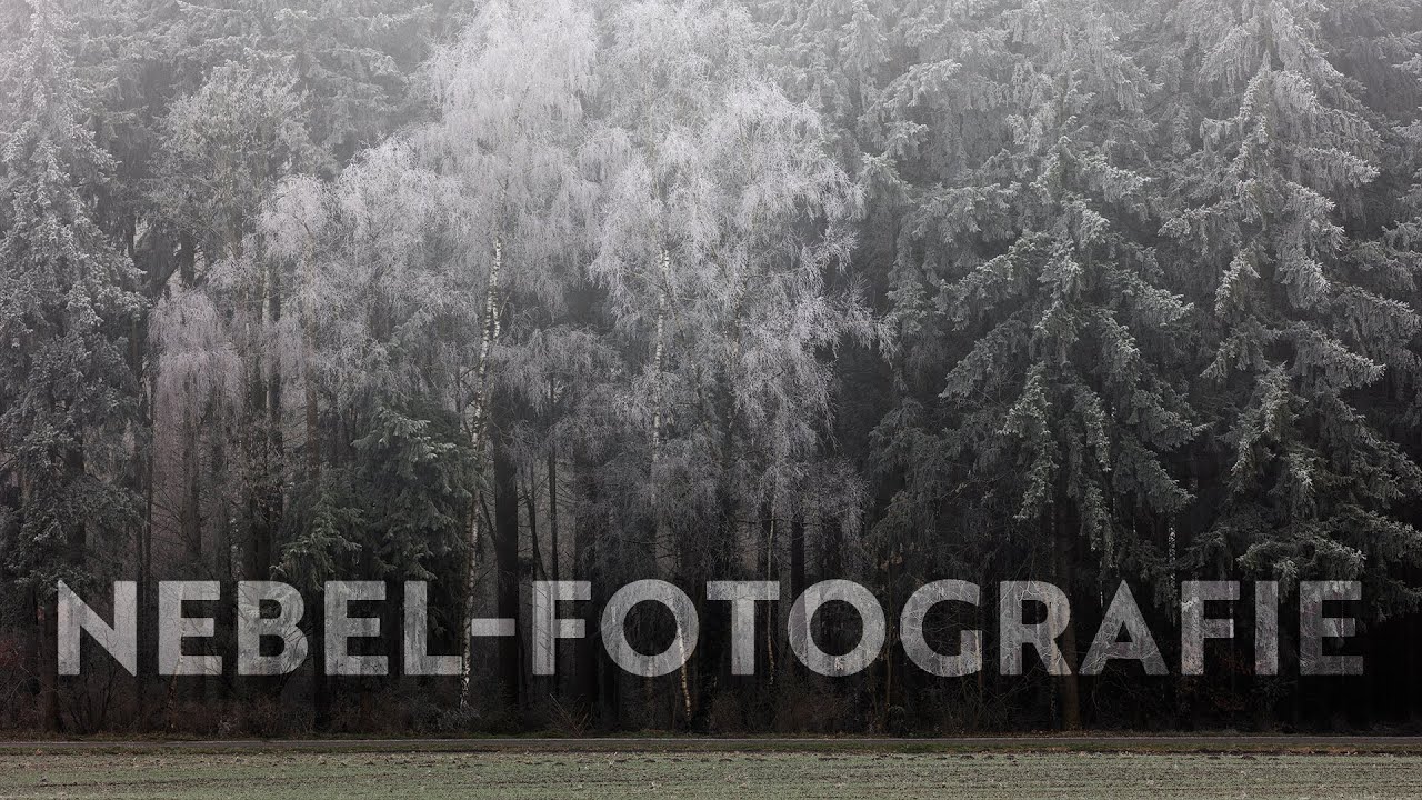 Landschaft im Nebel direkt 