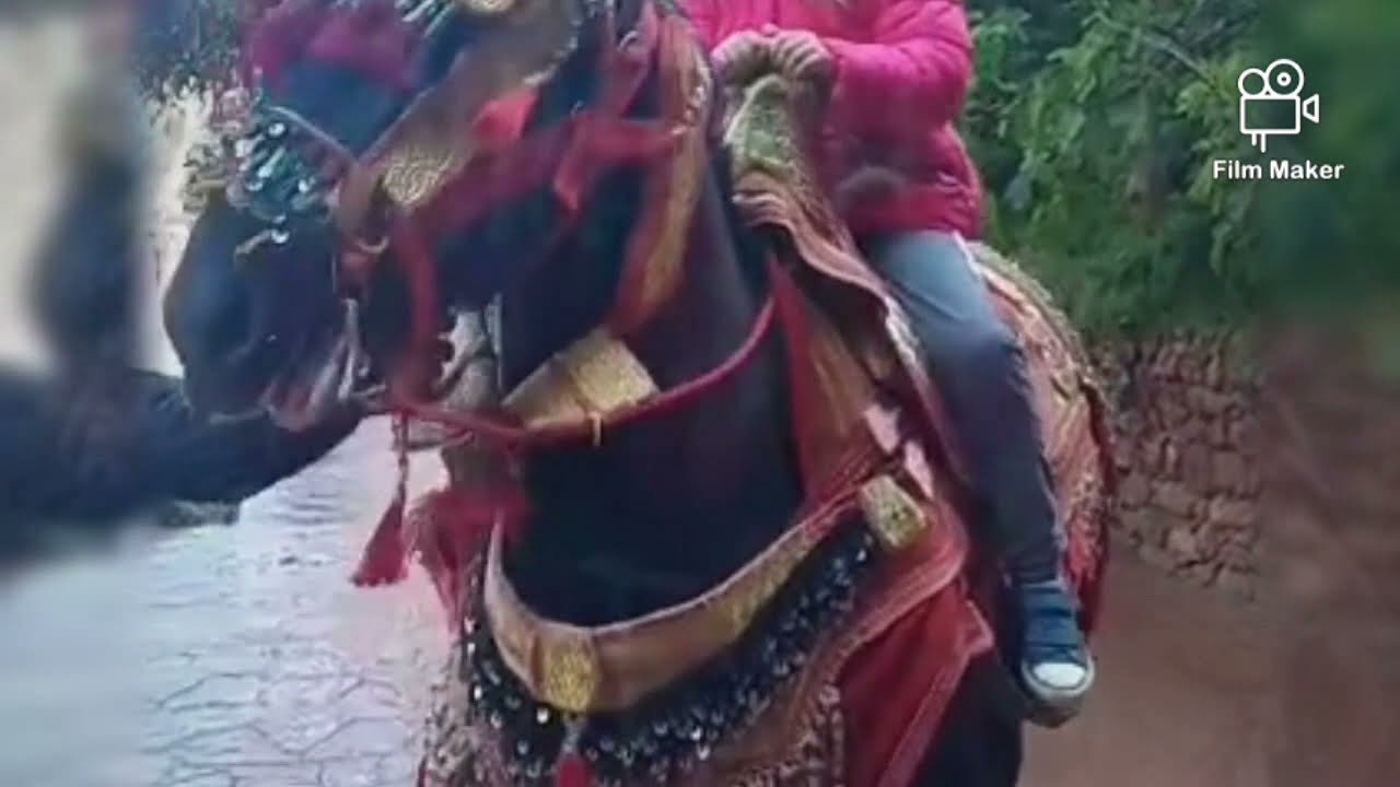#les_souvenirs#maroc#vlog#voyages                      les souvenirs en 2019