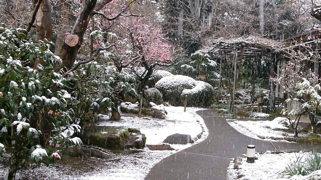 雪が降った日の庭と外構｜冬に映えるエクステリアの美しさ