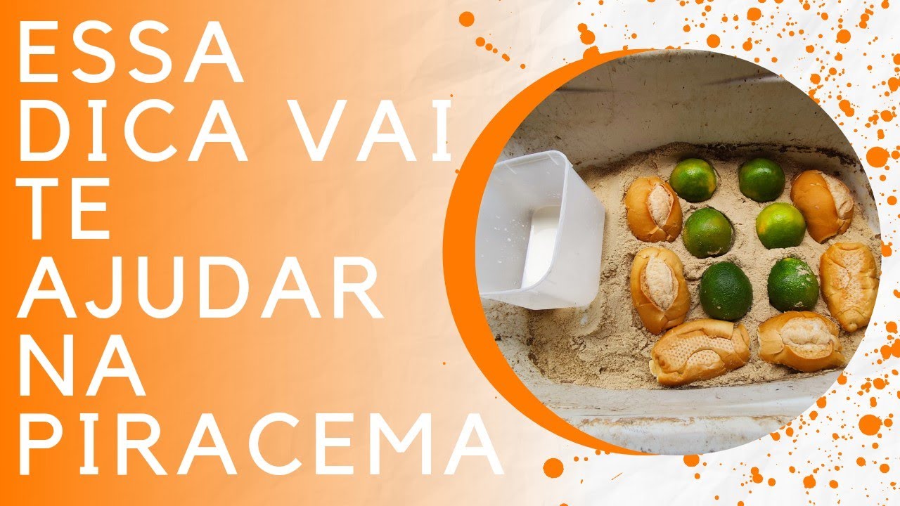 DICA: 3 Etapa para criar bichinho de laranja