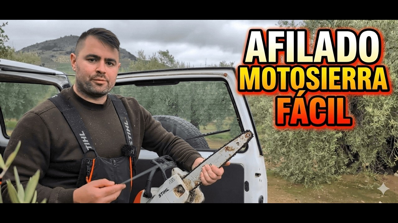 Afila Tu Motosierra De Una Manera Efectiva Y Rápida En Tu Olivar.
