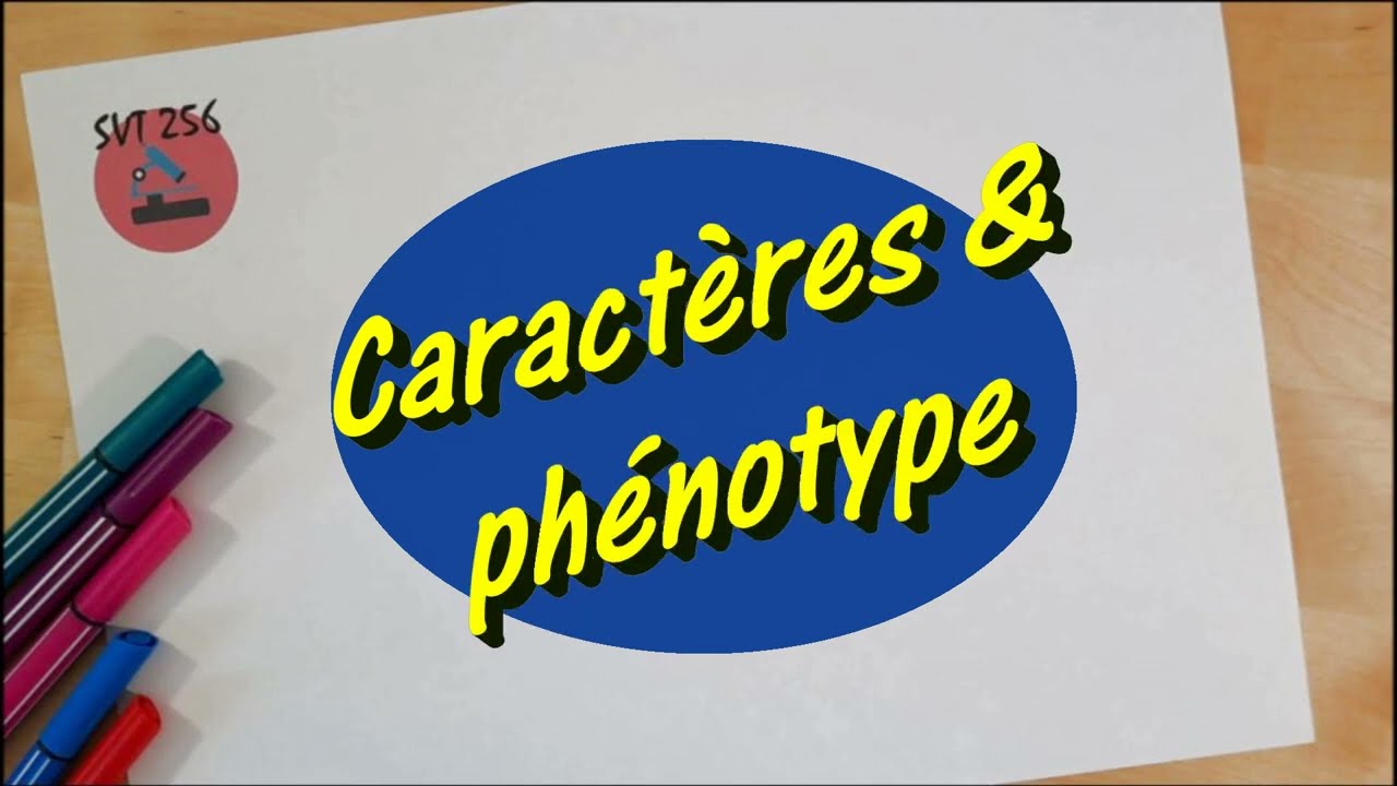 Caractères et phénotype / Cycle 4