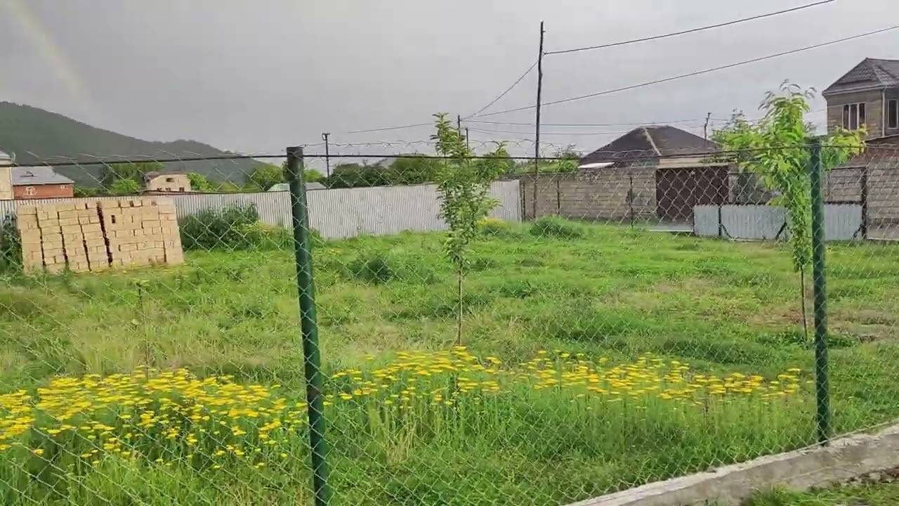 Balakəndə 8 sot torpaq içərisində 1100 kubiklə satılır qiyməti 12 min manat əlaqə 0503693002 vatsap