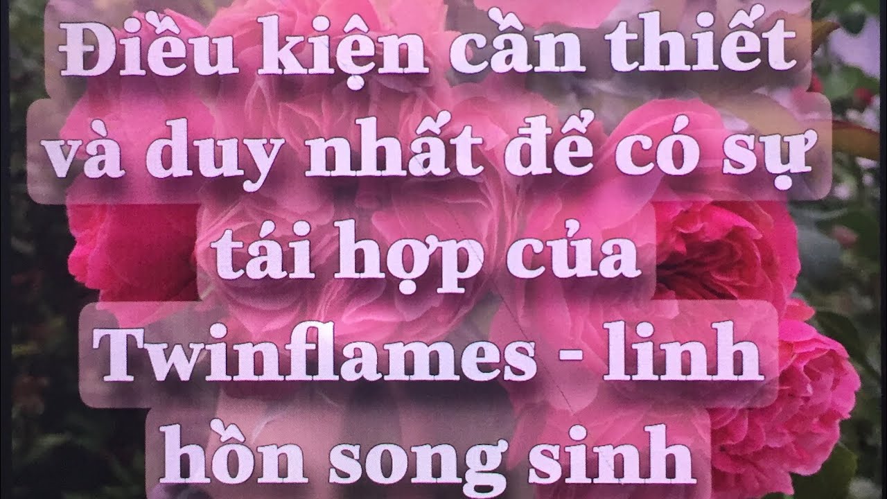 Twins flame - linh hồn song sinh tái hợp 🔥🔥#linhhonsongsinh #sunnyhealingtarot #twinflame