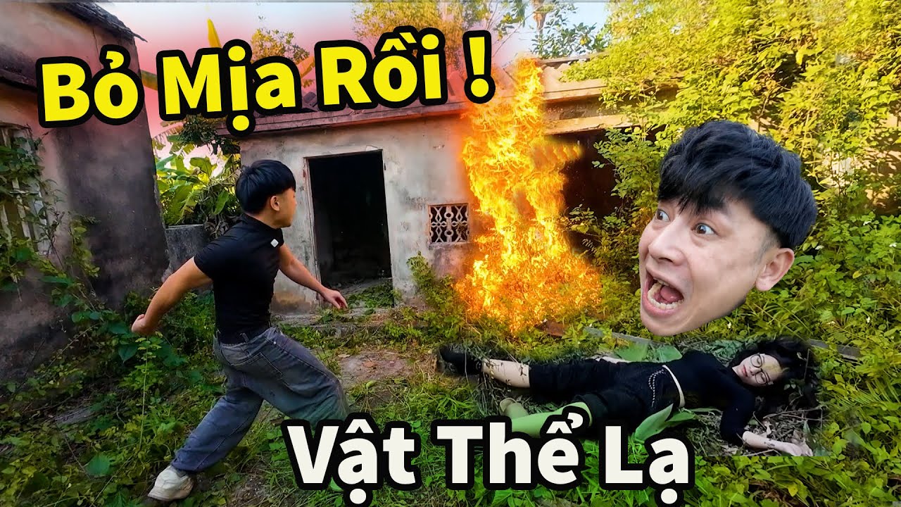 Dùng Kế Điệu Hổ Ly Sơn Vật Thể Lạ Mắc Bẫy || Hậu Cáo