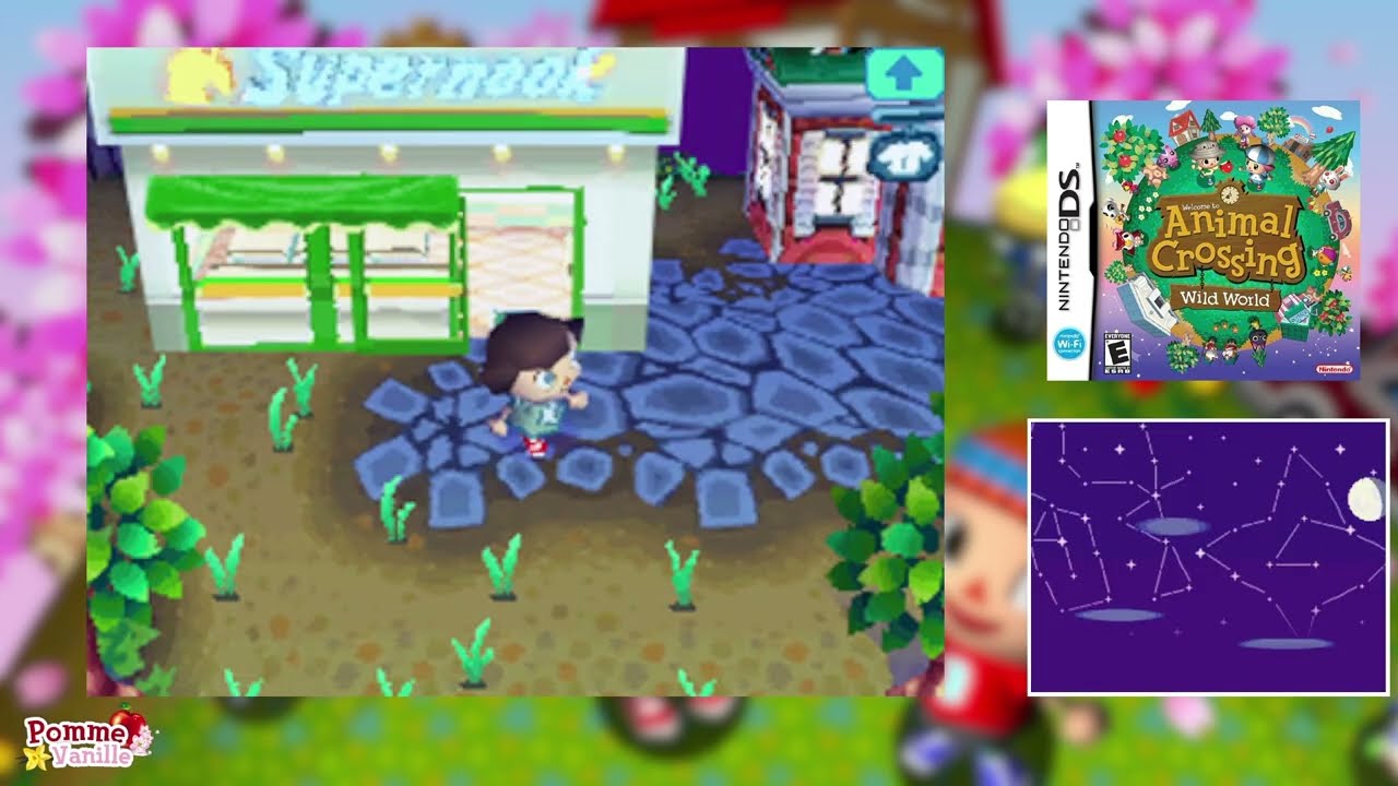 Dépoussiérons Animal Crossing Wild World ˙✧˖°🧹 Souvenirs d'enfance 😭💞