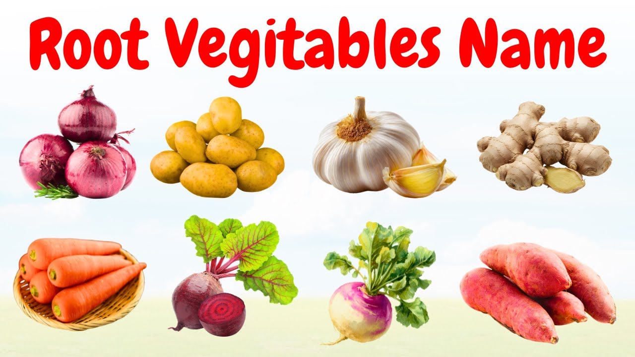 Root Vegetables Name in Hindi | जमीन में पैदा होने वाली सब्जियों के नाम