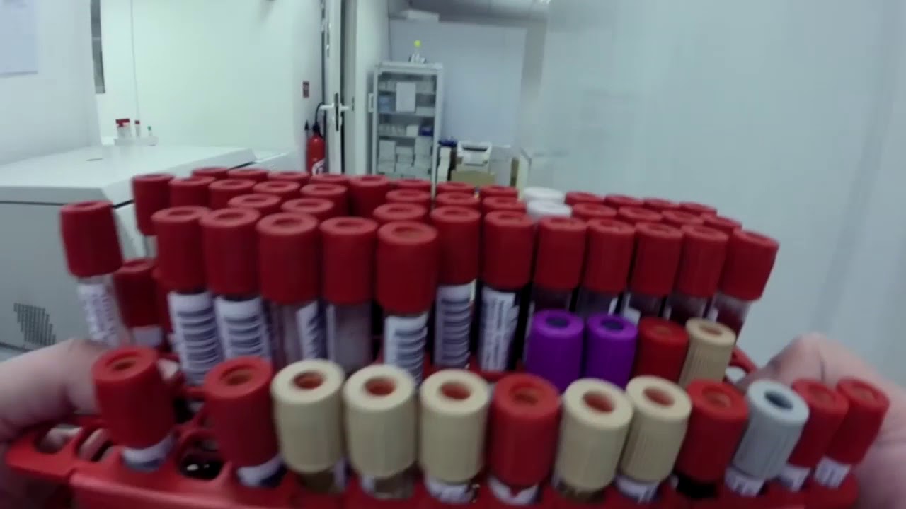 Présentation du laboratoire BARLA
