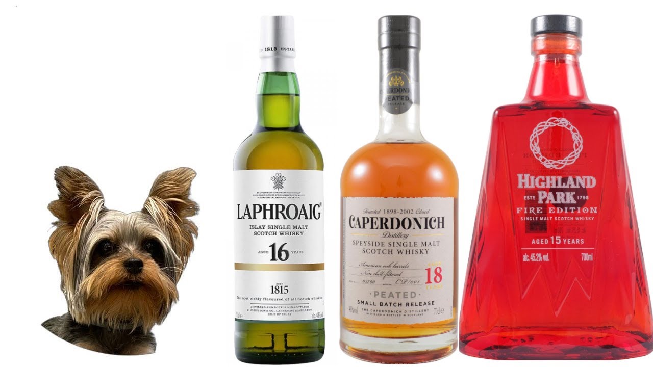 Highland Park 15 fire edition vs Caperdonich 18 vs Laphroaig 16