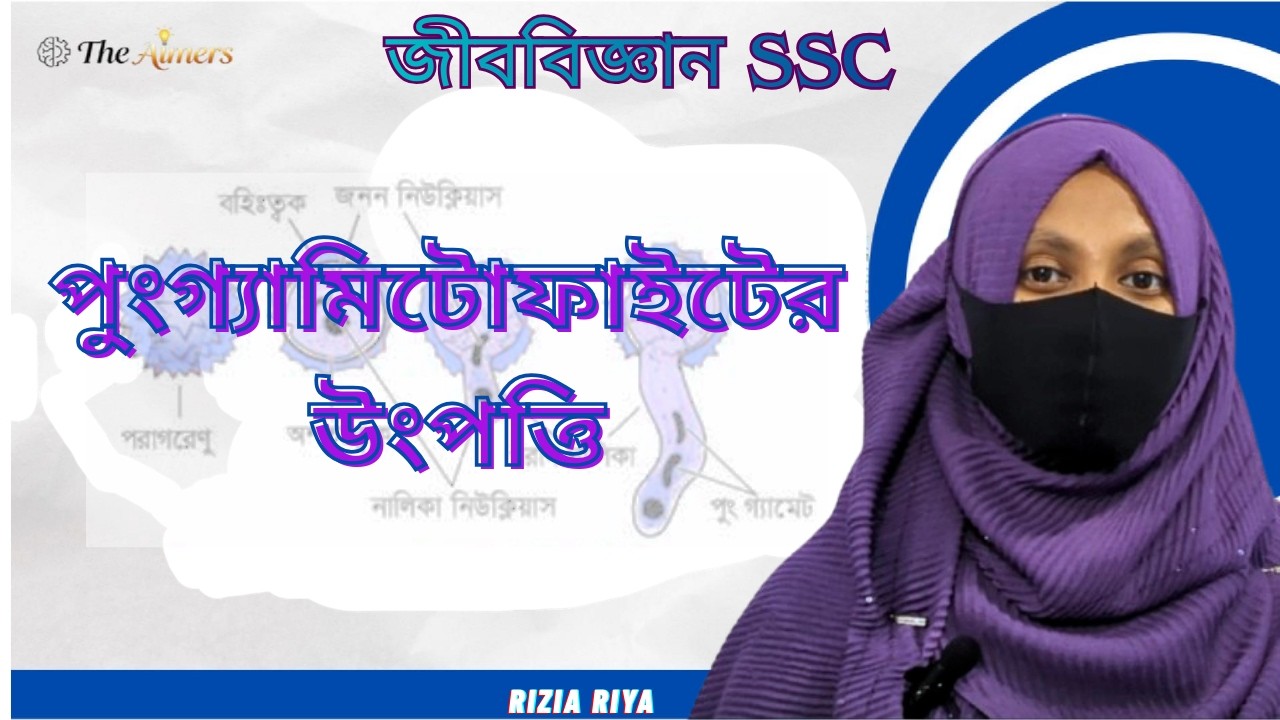 পুংগ্যামিটোফাইটের উৎপত্তি | জীবের প্রজনন | Biology | SSC-2026 | The Aimers