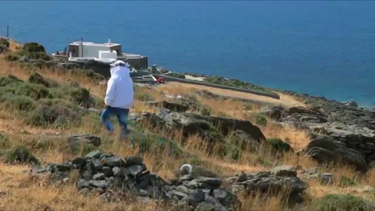 Μελισσοκομία στις Κυκλάδες
