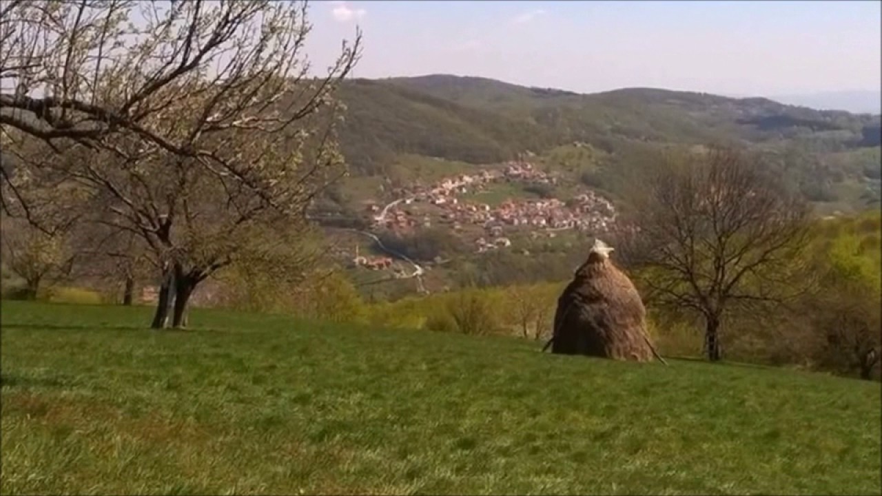 Goduš