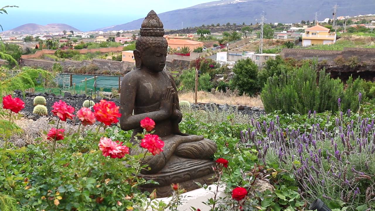 Reportaje Finca Manantial de  Tara