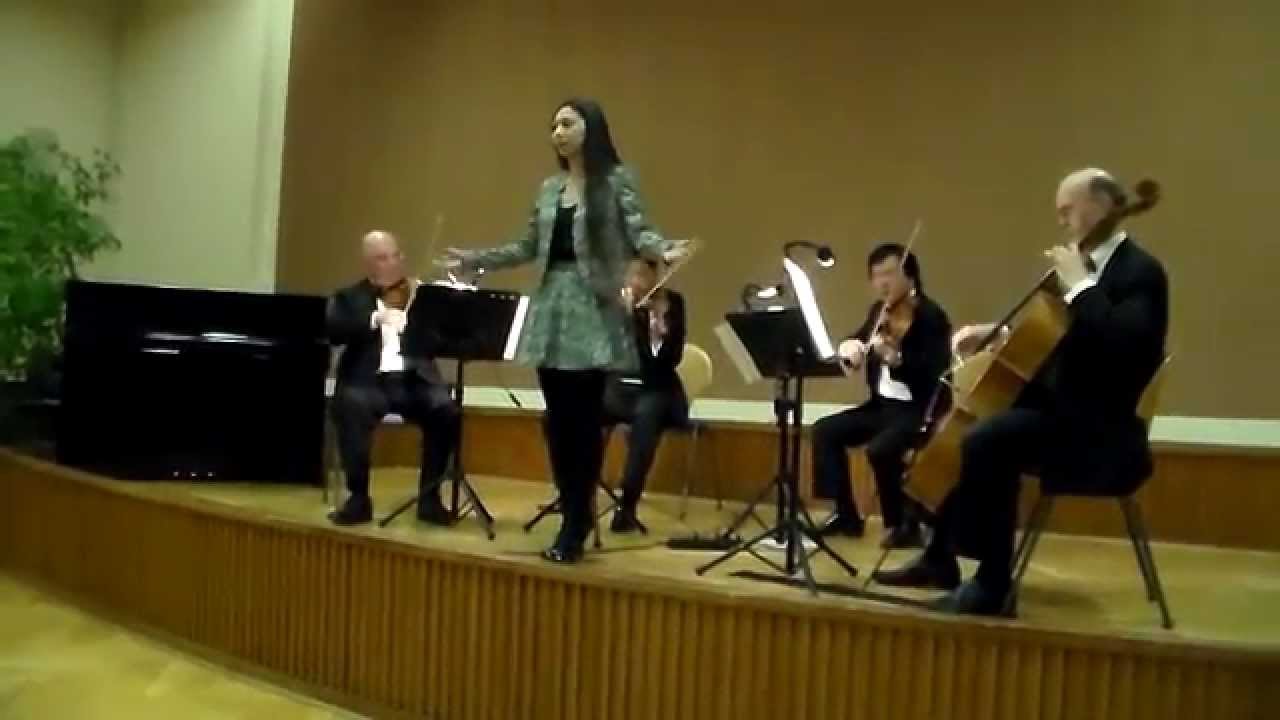 Der H&ouml;lle Rache kocht in meinem Herzen (Mozart - Zauberfl&ouml;te) by Kieu Pham