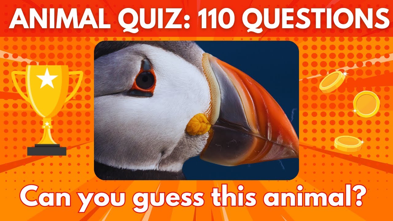 🧠❓Guess the animals based on their body parts quiz | Animal quiz | Fun quiz | English Quiz