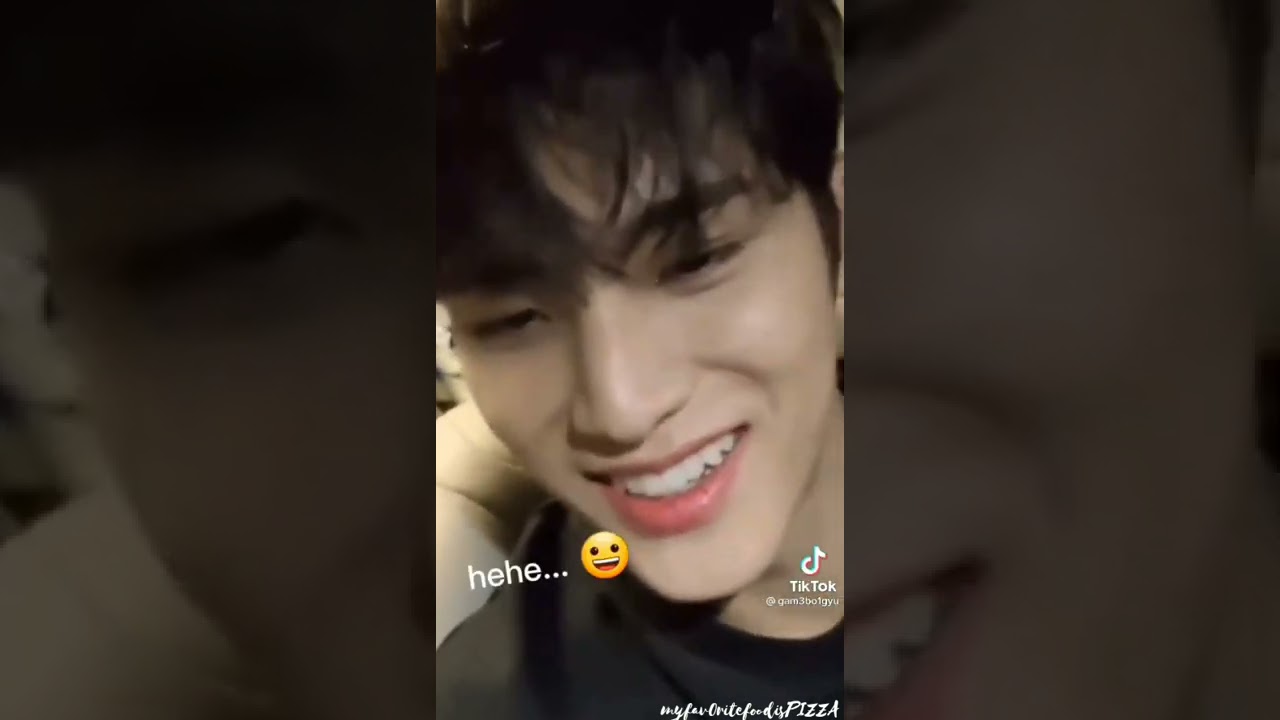 Seventeen random tiktotks because Hoshi forgot his message