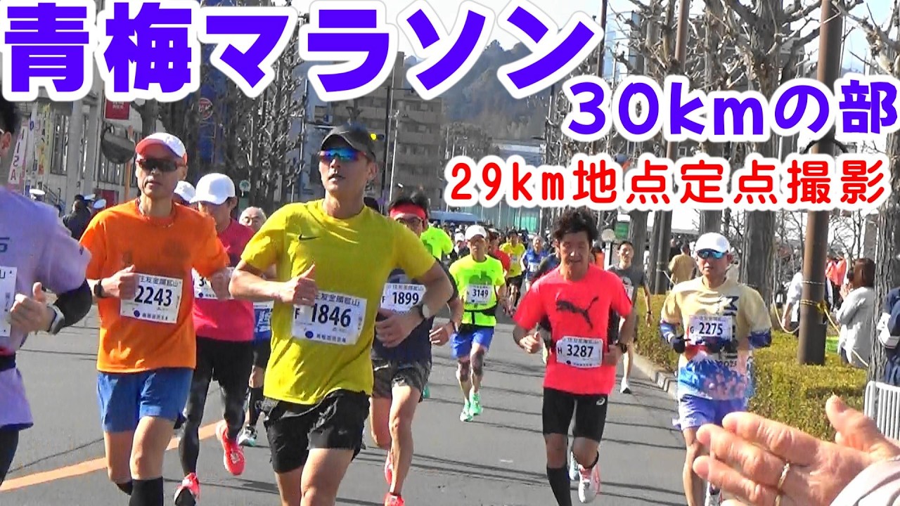 [青梅マラソン2026]29km地点定点撮影※青梅市役所前制限時間まで全選手撮影