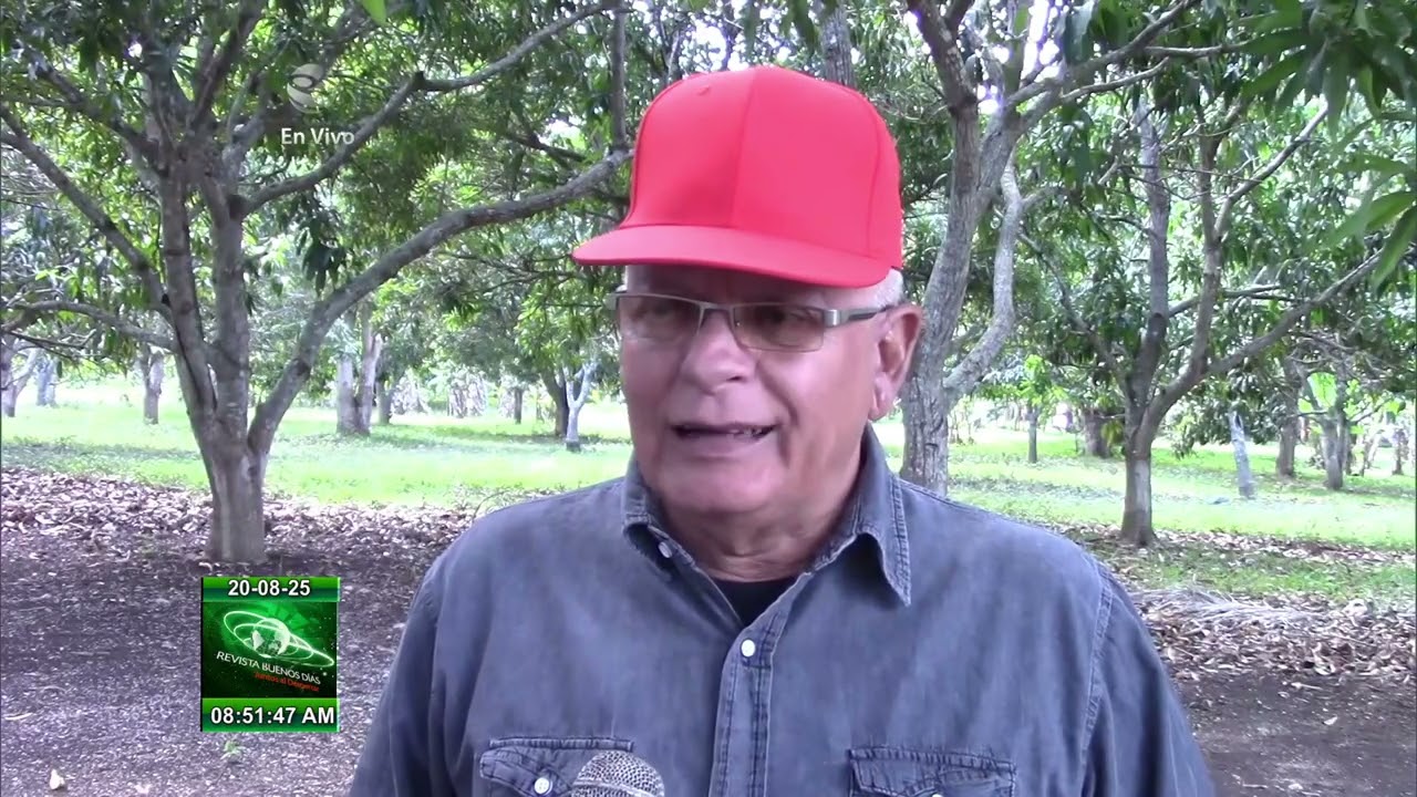 Resultados de Mayabeque en industria ca&ntilde;era en Cuba