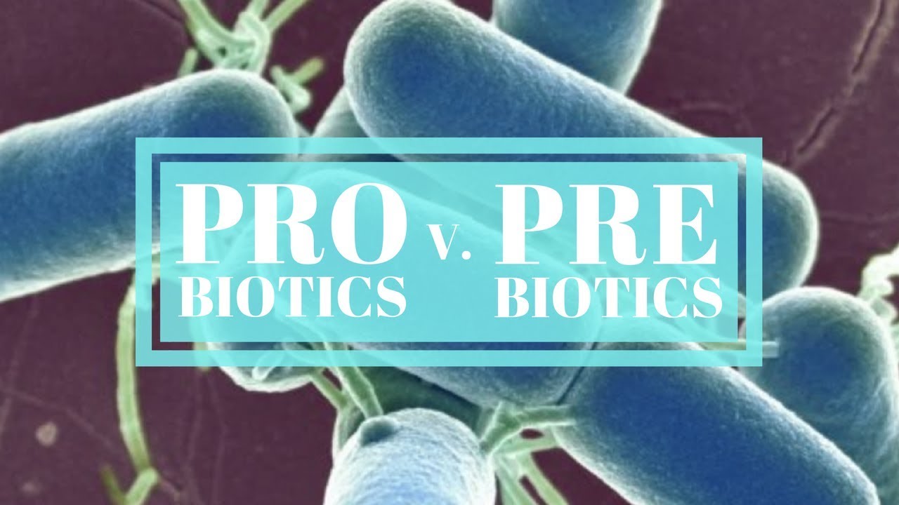PROBIOTICS V. PREBIOTICS || What's the Difference & How they Affect Gut Health?