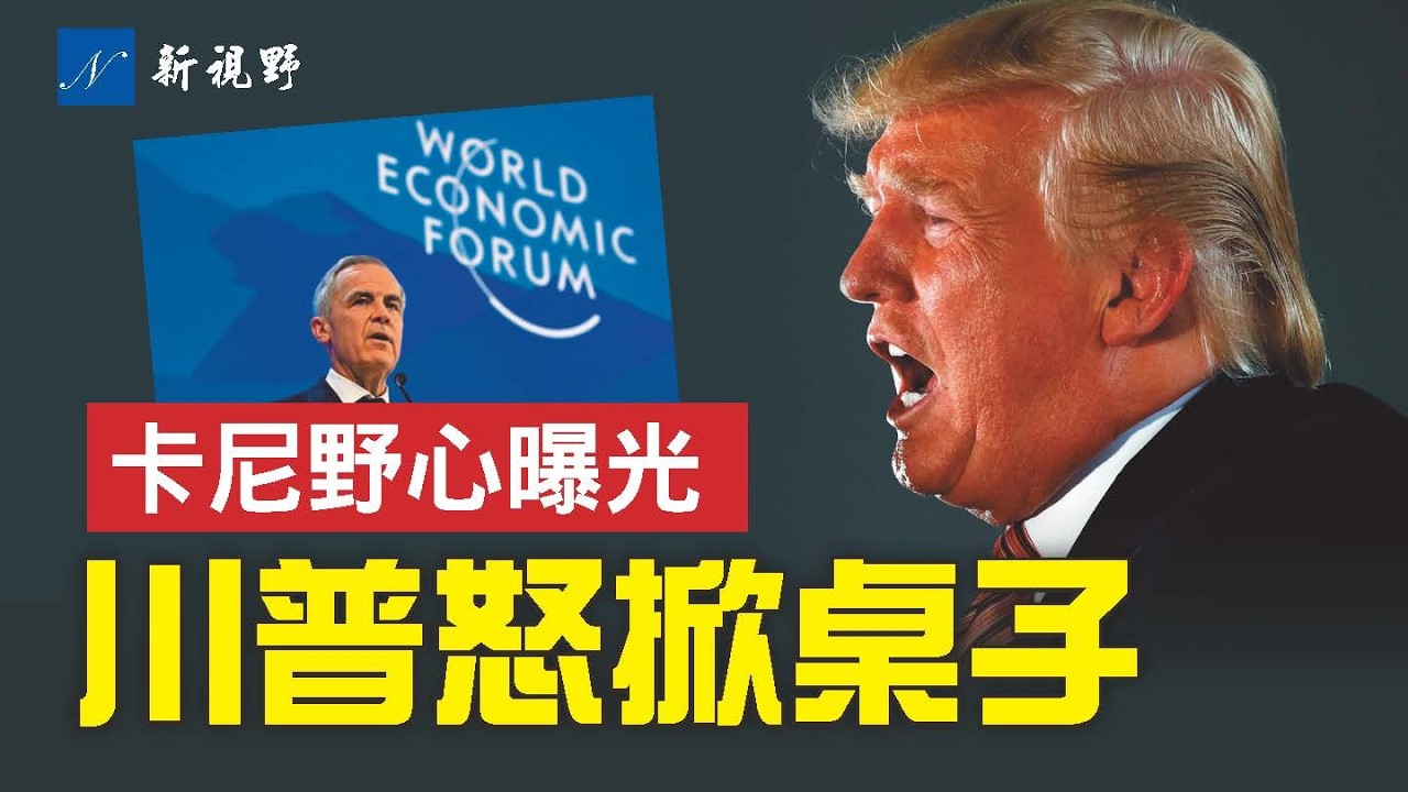 卡尼為何與川普硬碰硬？川普對加拿大掀桌子，背後真相揭秘。沃爾茲對抗聯邦政府，川普祭出200年前殺招？#川普 #卡尼 #沃爾茲 | 新視野 第2154期 20260125