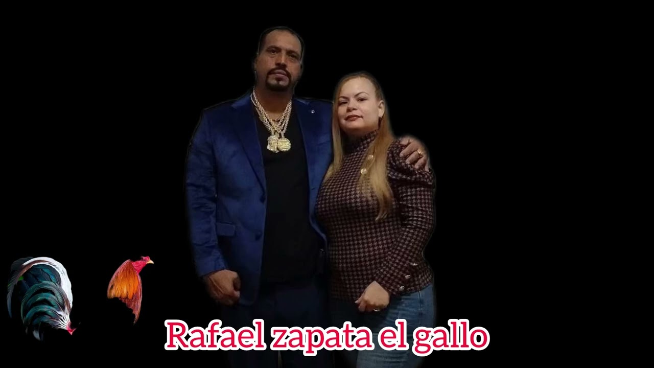 El gallo de pelea Rafael zapata
