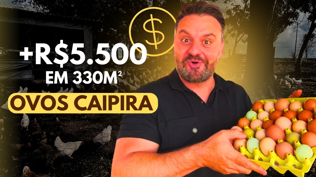 PROJETO 500 GALINHAS POEDEIRAS: +R$5.500/ m&ecirc;s com OVOS CAIPIRA