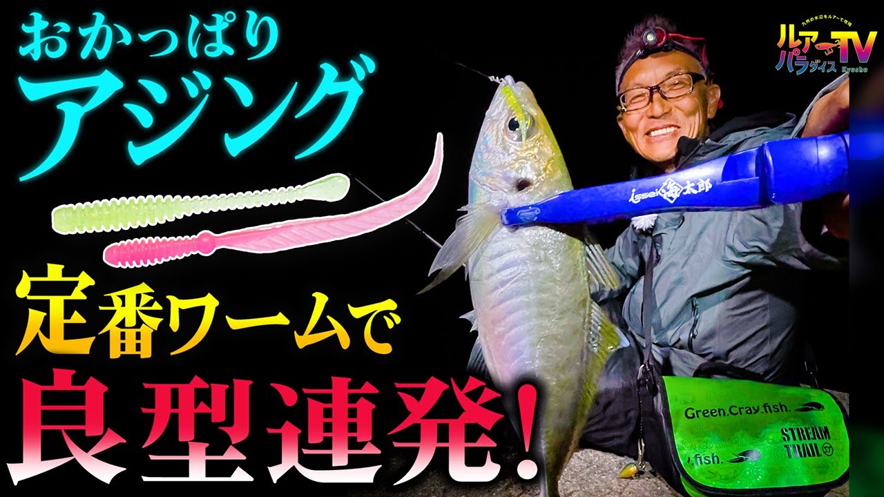 【アジング】おかっぱりで良型アジ連発！定番ワーム「スパテラ・サビキ的」はアジの好物 !?【ルアパラTV】