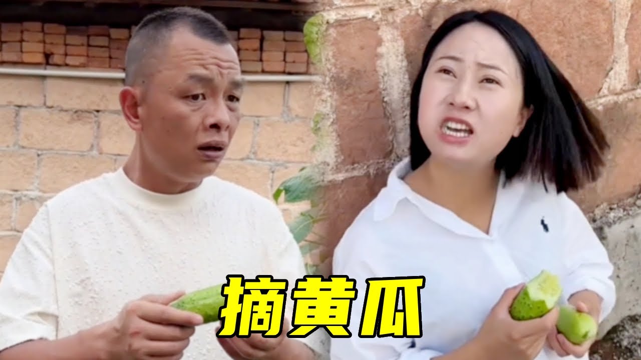 老表被慧慧骗去摘黄瓜，结果惨失2000元，让人笑到飙泪！🤣#搞笑#爆笑#funny