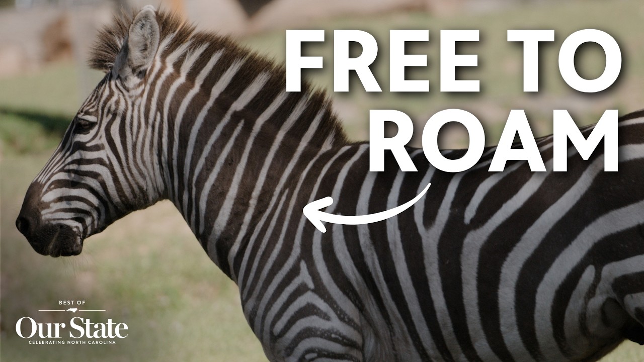 Inside the World's Largest Natural-Habitat Zoo | Best of Our State | PBS North Carolina