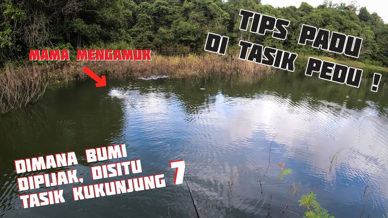 Kedah Pedu dan Padu!!