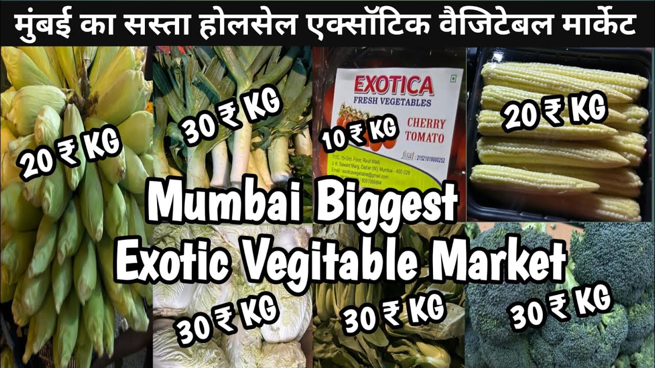 Mumbai Wholesale Sabji Mandi | Wholesale Vegetable Market In Mumbai