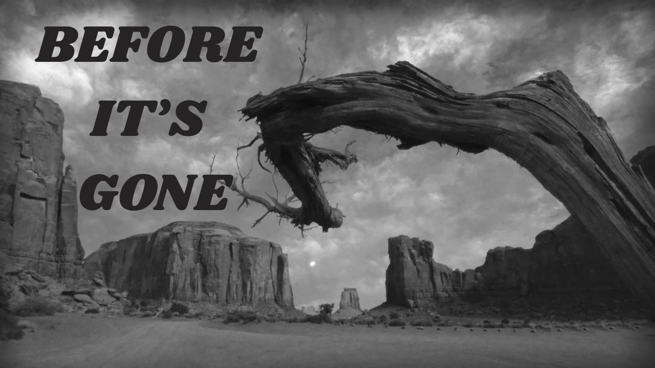 Before It's Gone - Neon Rebelion (Official Lyrics Video)