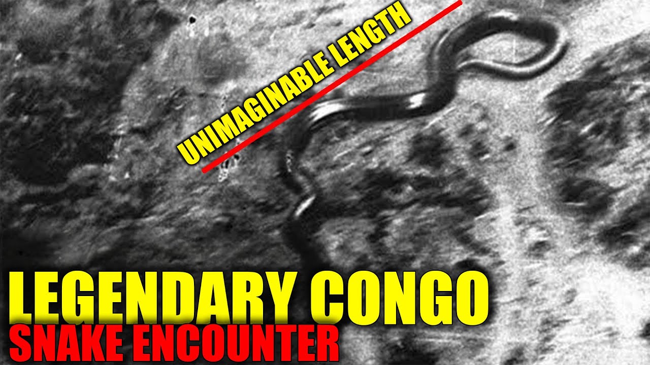 50-Foot Congo Monster Encounter - The Belgian Colonel&rsquo;s Untold Story
