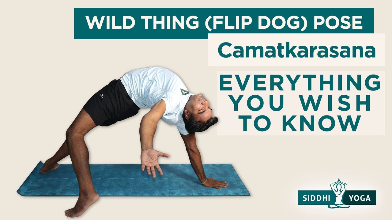 Camatkarasana (Flip Dog or Wild Thing Pose) Benefits, How to Do by Yogi Ritesh- Siddhi Yoga