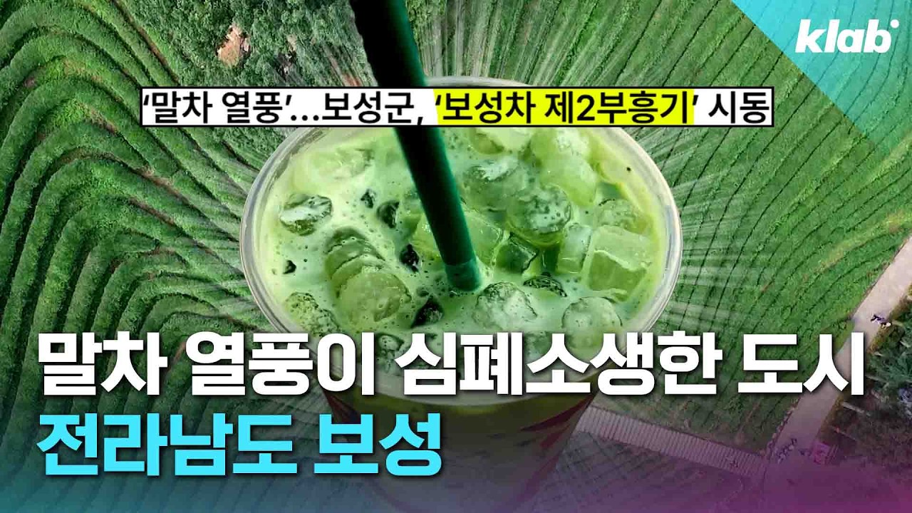 말차 열풍으로 화려하게 부활했다는 보성 근황｜크랩