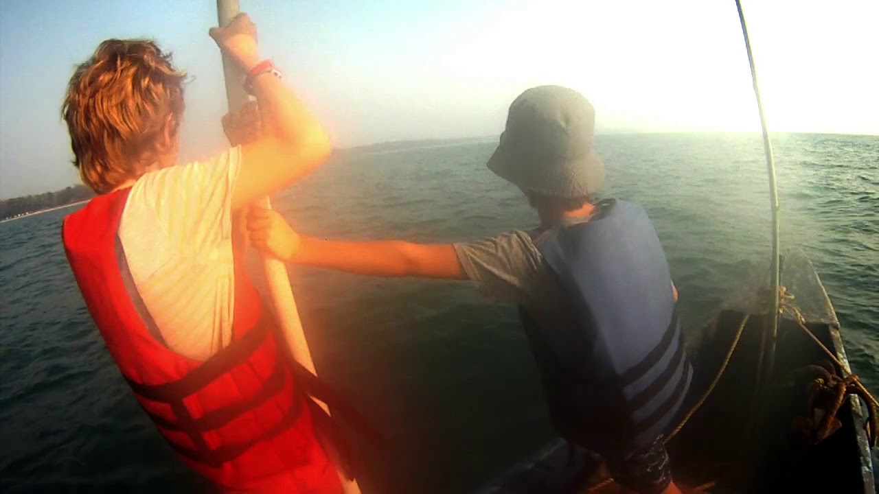 Dolphin Spotting
