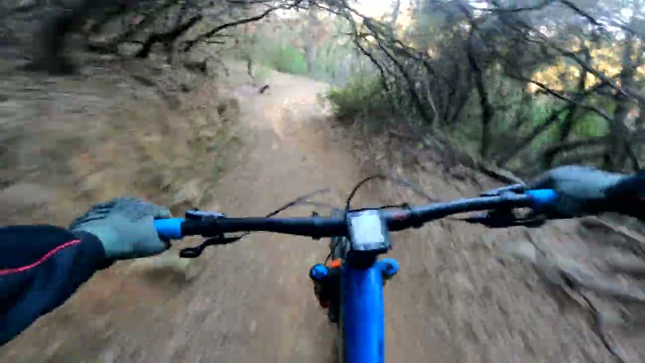 La mejor trialera Collserola Sta Margarida