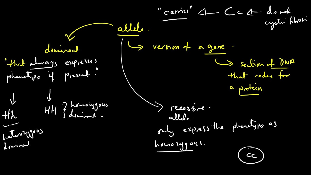 Biology IGCSE Edexcel Crash Course Webinar