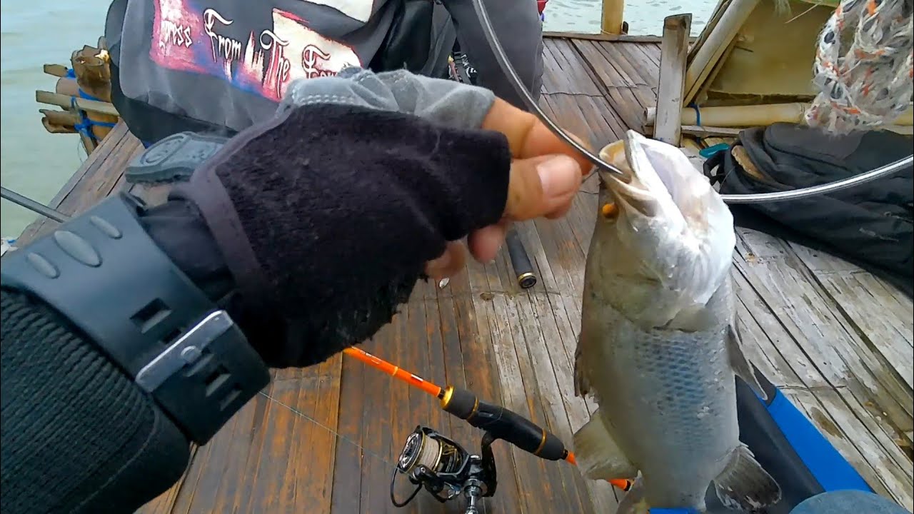 mancing ikan kakap putih/baramundi di bagan rumpon pulau cangkir