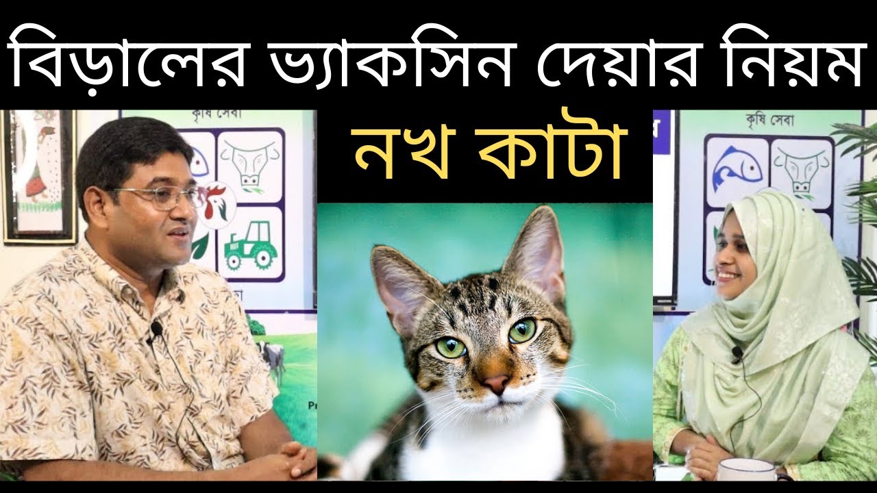 বিড়ালের ভ্যাকসিন দেয়ার নিয়ম ও পার্শ্ব প্রতিক্রিয়া - নখ কাটা | প্রফেসর ড. মো রফিকুল আলম #Agroaid