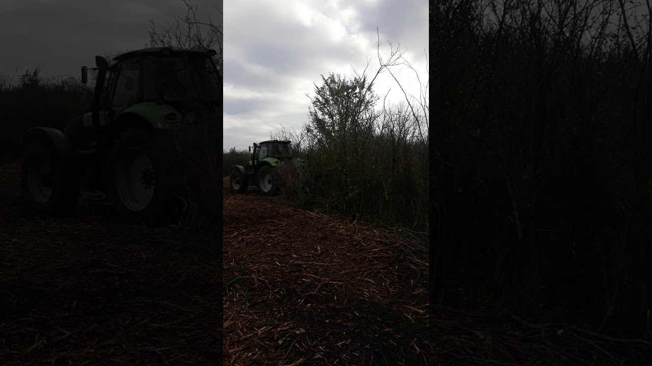 Розліснення, корчування занедбаних полів, плодових садів DEUTZ-FAHR & Seppi