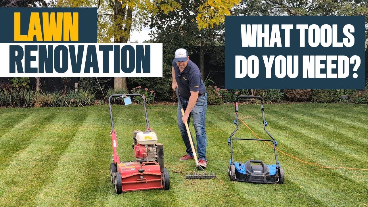 What tools and materials  do you need for a Lawn Renovation