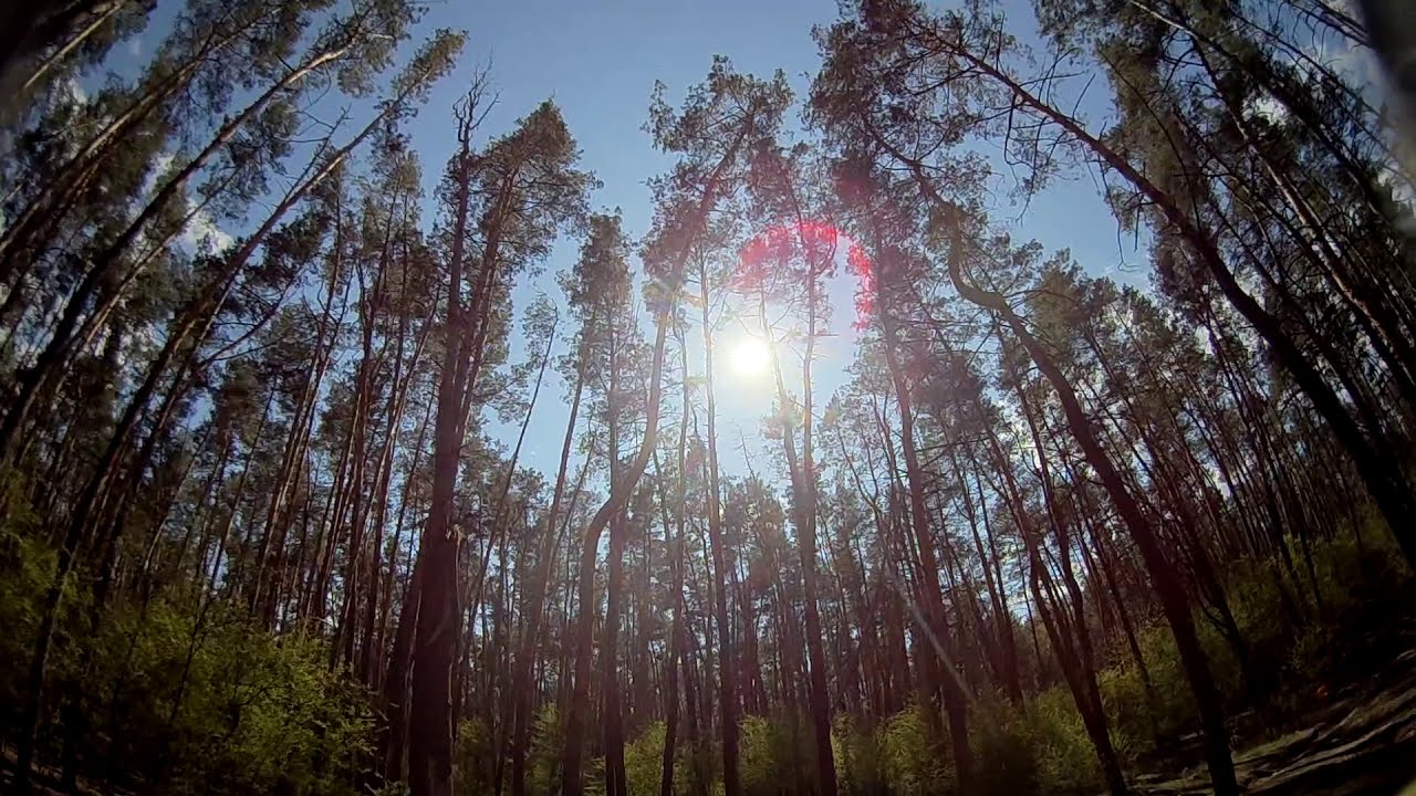 Mobula 7 HD - В лесу.
