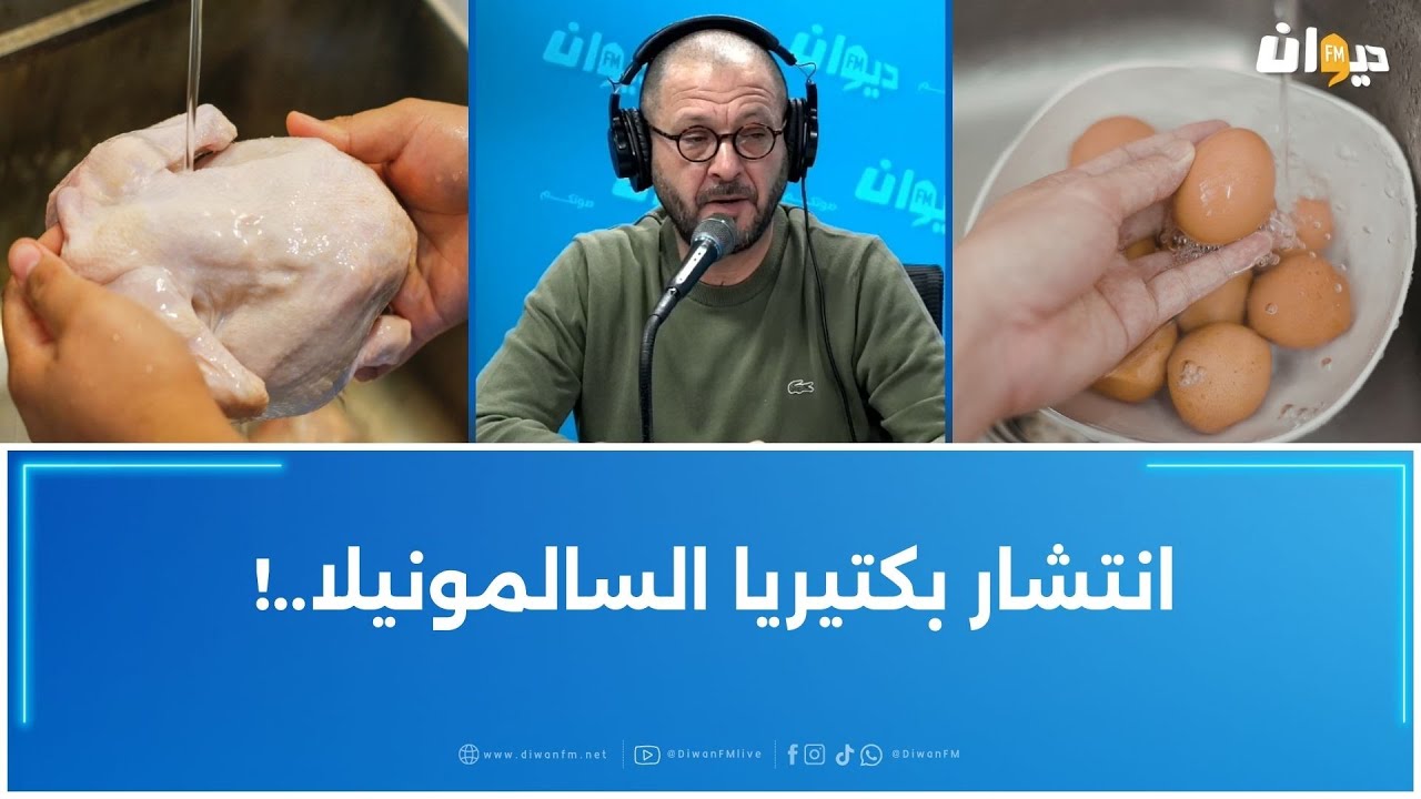 غسل الدجاج و البيض بالماء ..! احذروا هذا الخطر ..دكتور سليم العسلي على الخط ..