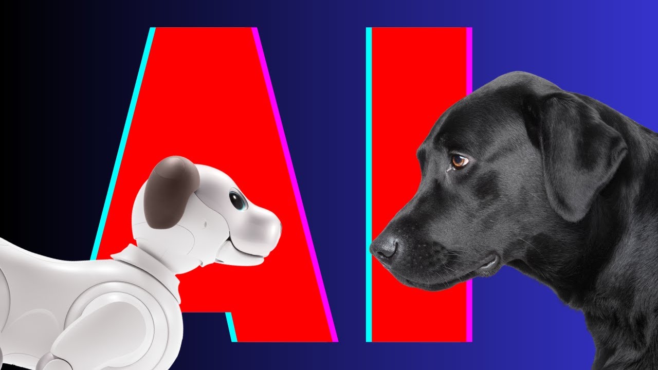 aibo and Real Dogs: Redefining Companionship in the Digital Age