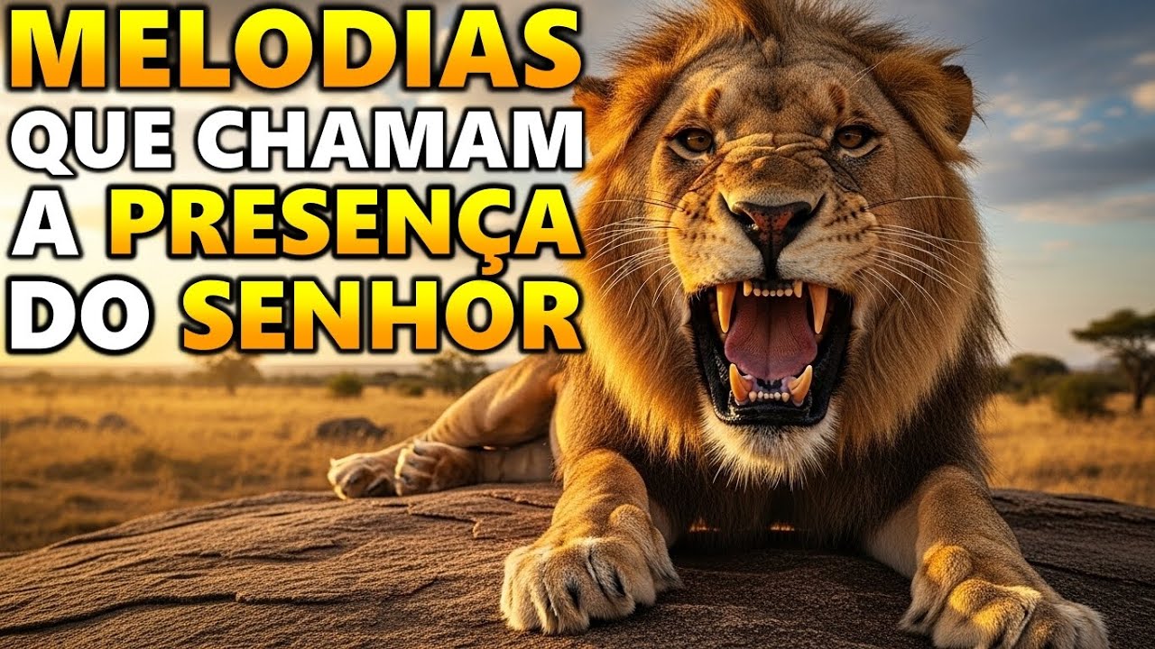 Melodias que Chamam a Presença do Senhor, 20 Músicas Evangélicas que trazem Paz e Fé para sua Casa