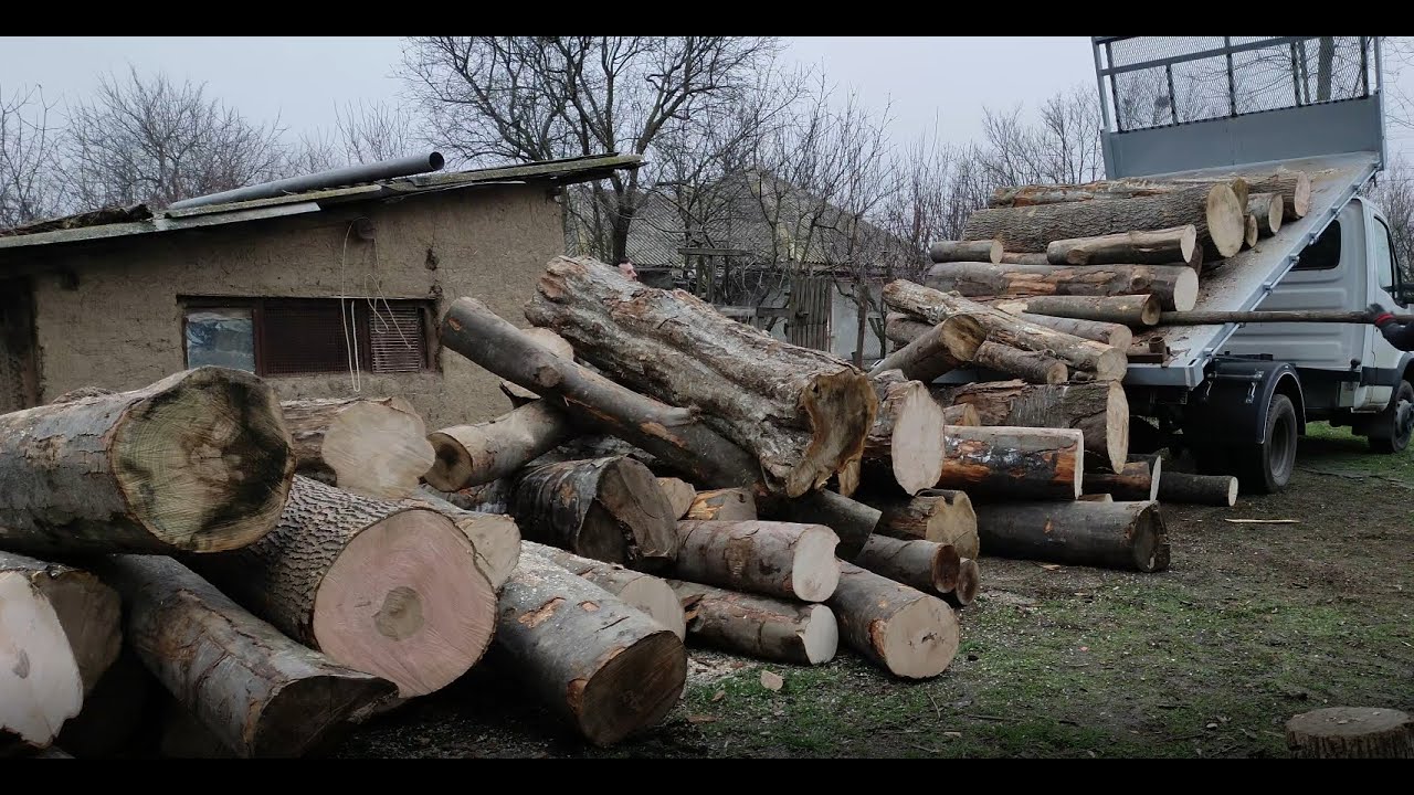 Descarcare masina cu busteni din Vrancea lemn de fag,frasin,carpen etc
